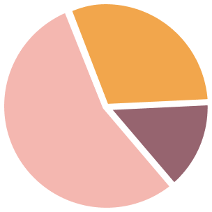 Gender breakdown: 60% male, 35% female, 5% non-binary